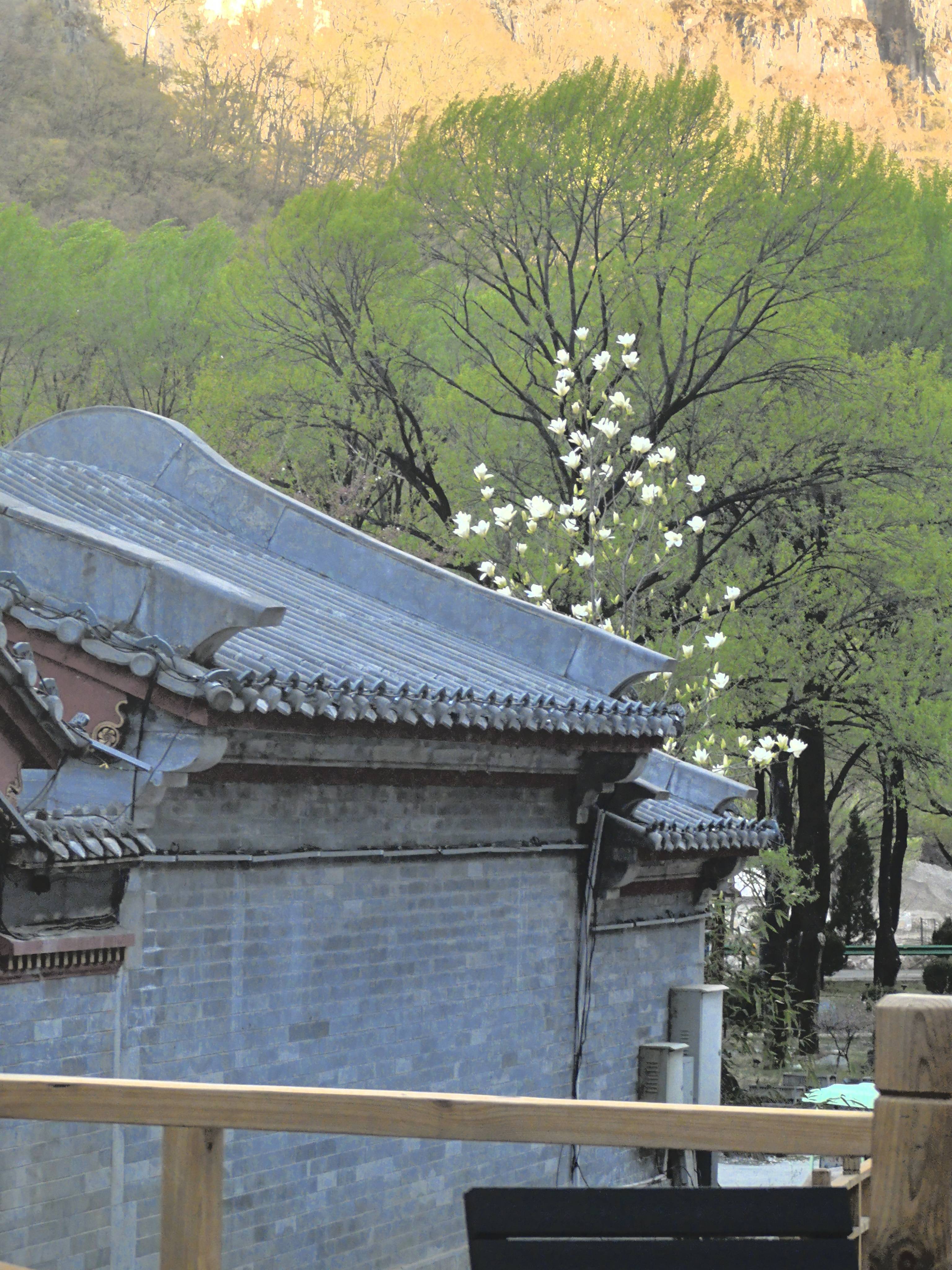 澳涞山庄荣登中国十大最美山庄之首九游会J9入口文旅圣地大放榜：(图4)
