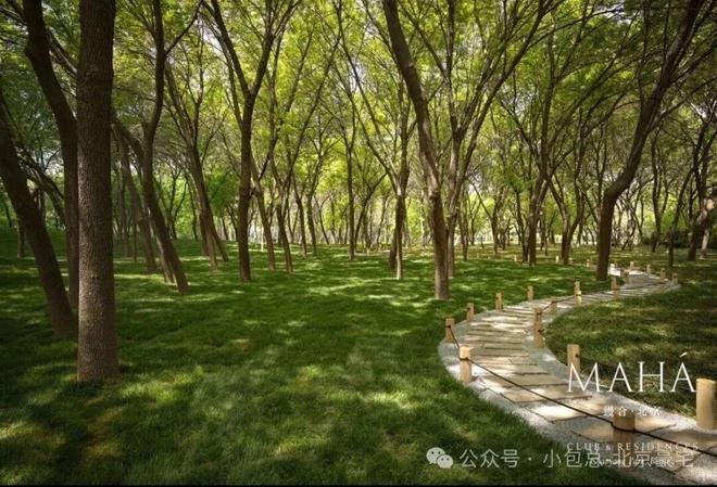 京缦合北京售楼处发布：引领购房热潮j9九游会真人第一品牌百度热搜@北(图4)