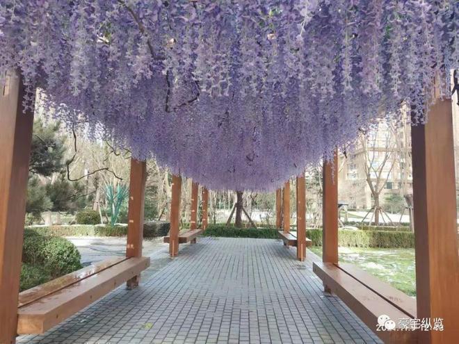 京缦合北京售楼处发布：引领购房热潮j9九游会真人第一品牌百度热搜@北(图12)