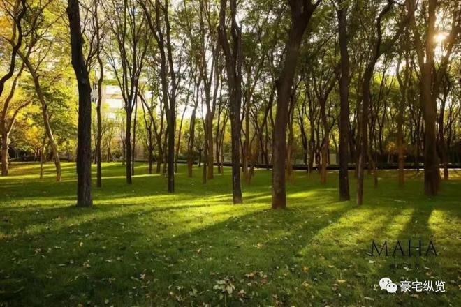 京缦合北京售楼处发布：引领购房热潮j9九游会真人第一品牌百度热搜@北(图13)